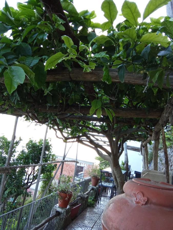 Antico Sentiero Casa